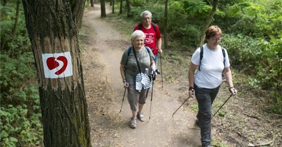 Különleges túraösvényt avattak a Farkaserdőben Különleges túraösvényt avattak a Farkaserdőben