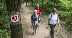 Különleges túraösvényt avattak a Farkaserdőben
